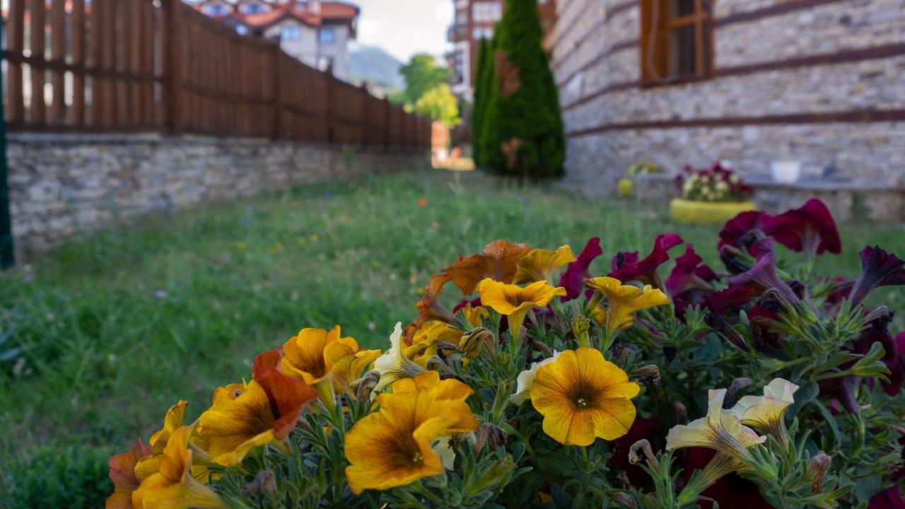 Two Bedroom Apartments In Murphys Lodge Bansko Bagian luar foto